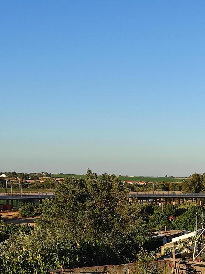 Villa Mansao Alentejana Al Alvalade Esterno foto